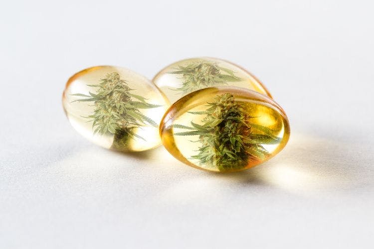 The challenges of encapsulating CBD oil products