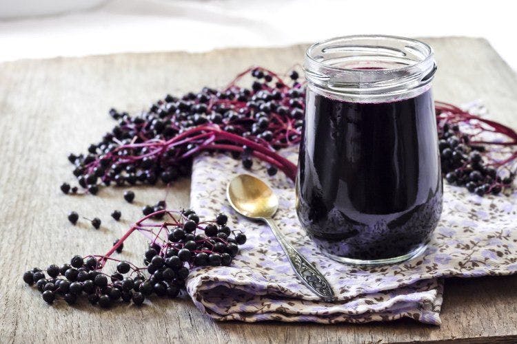 Elderberry growth was huge in 2019. Here’s why. 2020 Ingredient trends to watch for foods, drinks, and dietary supplements