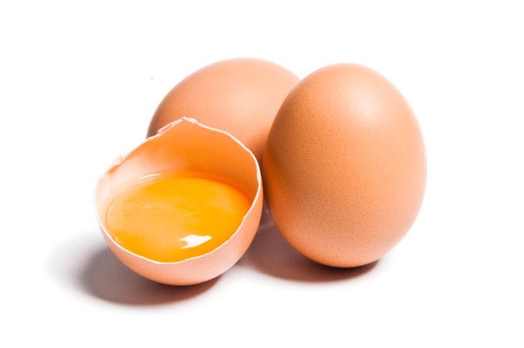 Egg yolk protein
