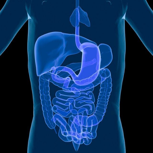 Litesse Polydextrose Linked to Changes in Gut Microbiome, Host Metabolism in New Research