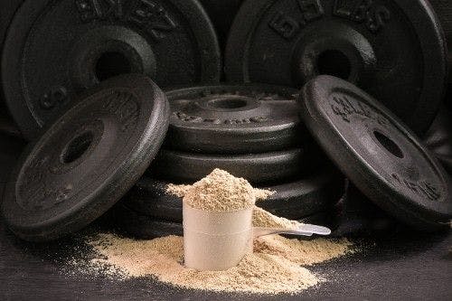 Protein Gets a Boost: Ingredients that Increase the Effects of Protein