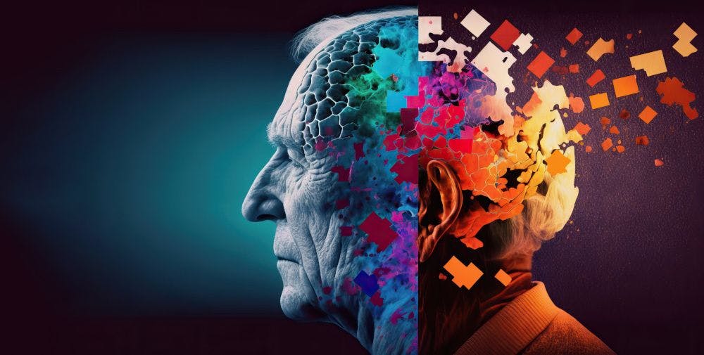 Healthy aging: The link between homocysteine, dementia, and B vitamins