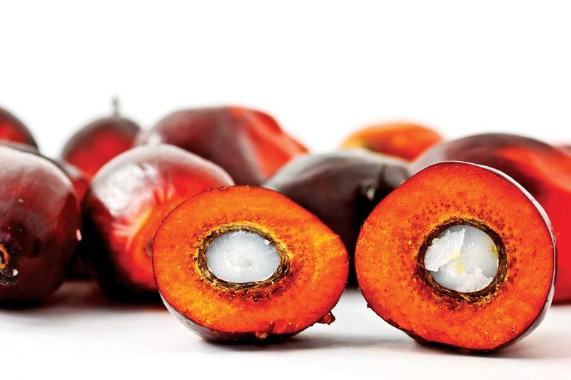 What Makes Palm Oil a Top Replacer for Partially Hydrogenated Oils?