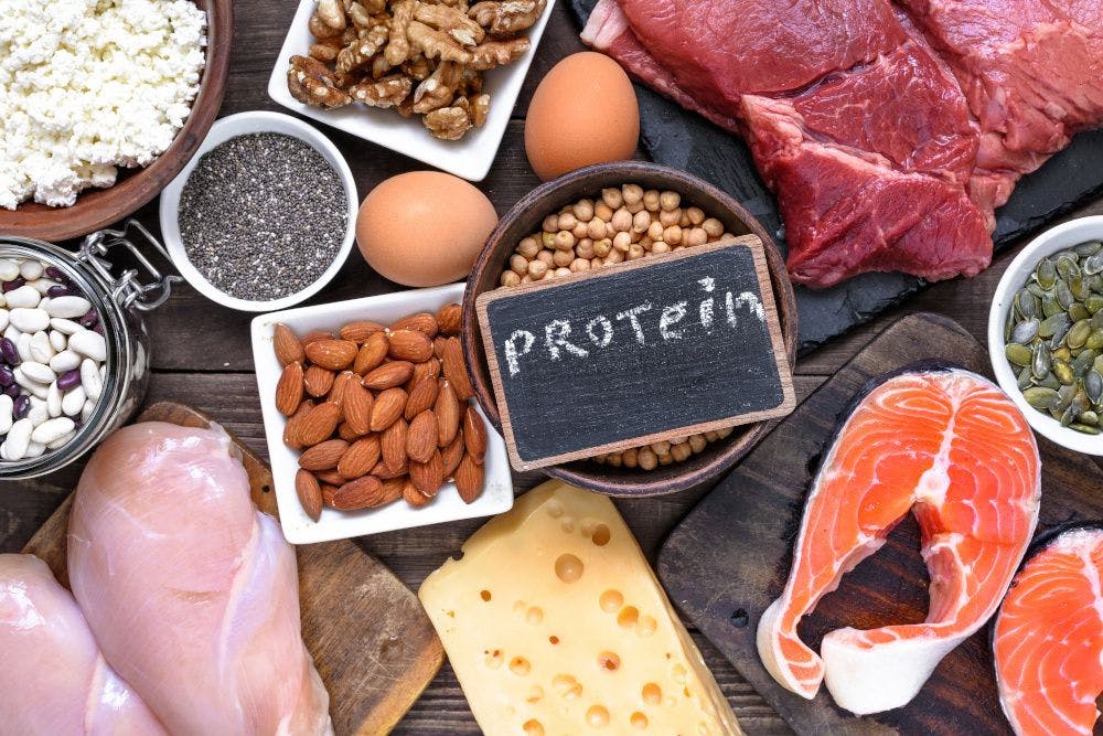 The alternative-protein market will grow if companies can reduce costs and increase efficiency, new report says