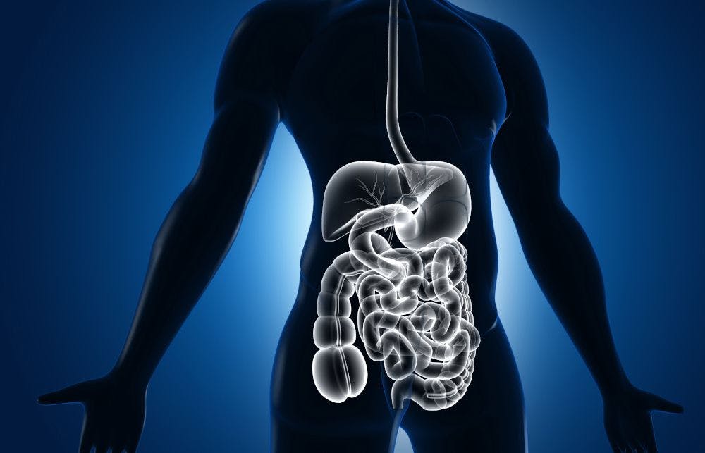 Digestive health ingredients: New research on postbiotics, butyrate at 2023 SupplySide West