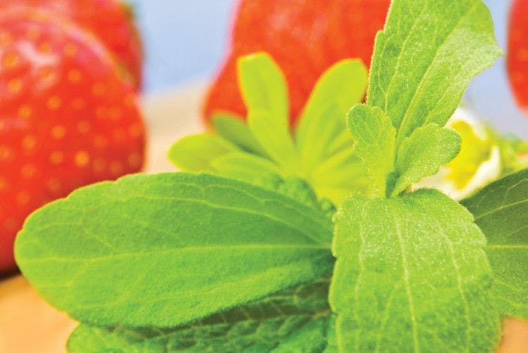 Sweet Green Fields’ new stevia-based natural flavor improves performance of high-intensity sweeteners
