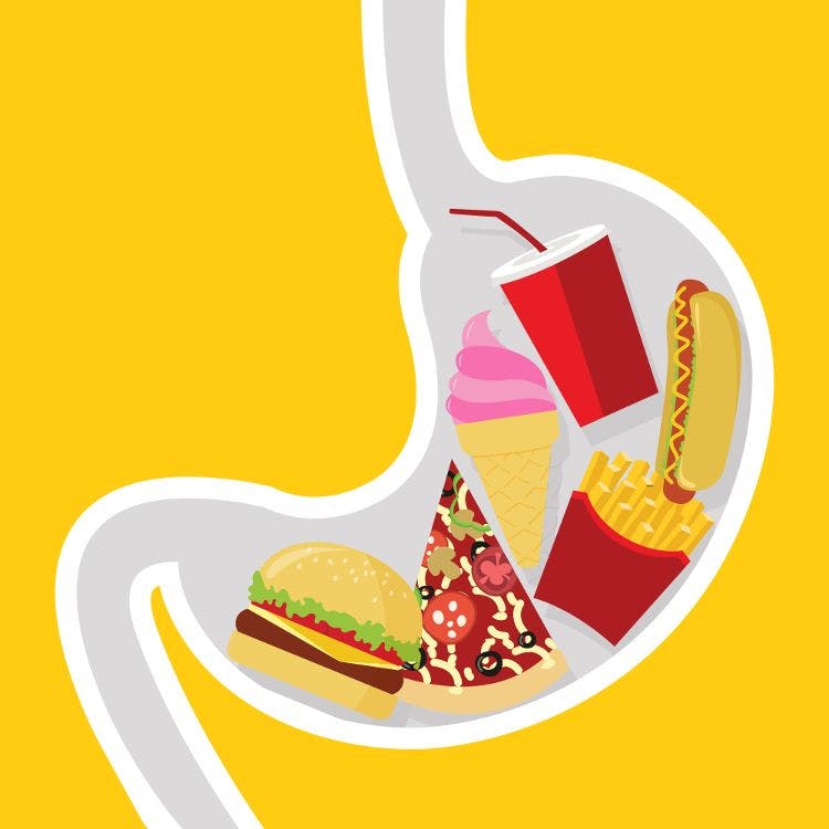Digestive enzyme opportunities: high protein, plant sources, pet health, and more