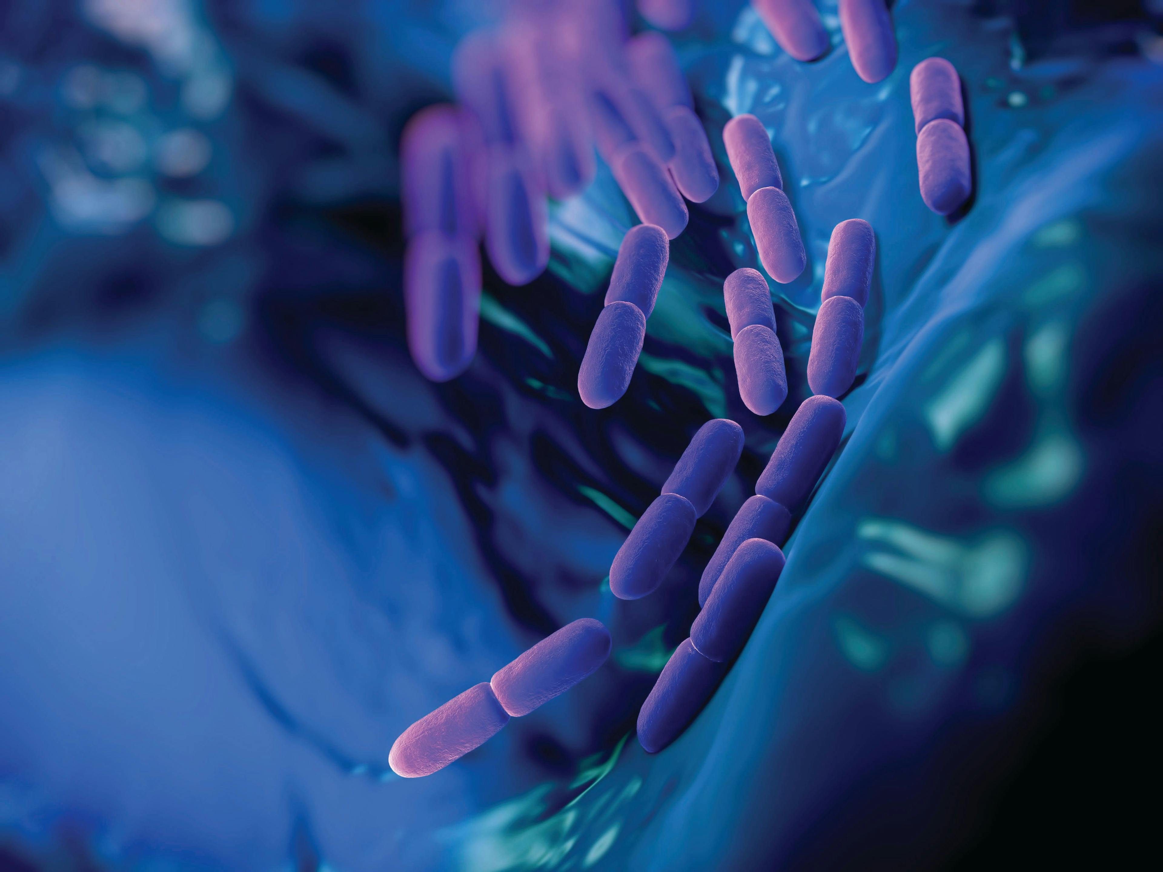New DNA Test Method Lets Probiotic Firms Test Multistrain Blends: SupplySide West Report
