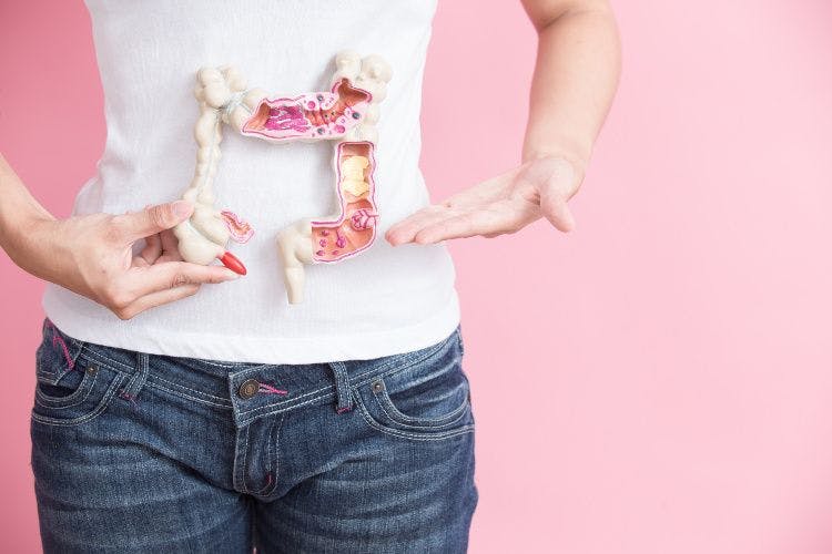 Digestive Health: Powered by probiotics and gut-friendly food