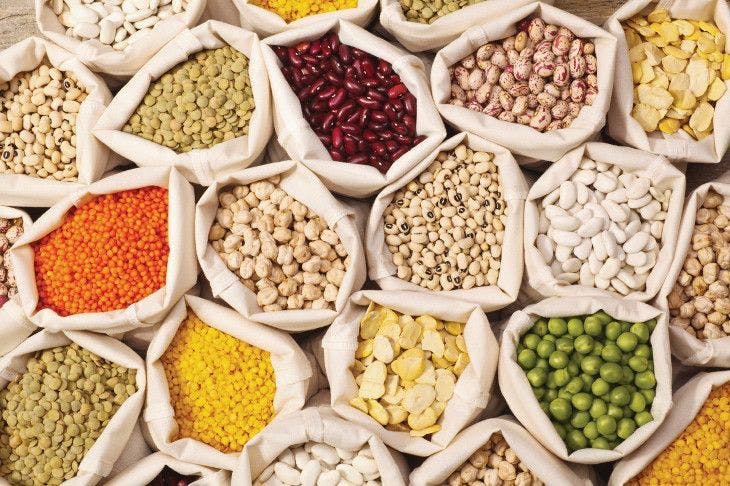 2018 Ingredient Trends to Watch for Food, Drinks, and Dietary Supplements: Plant Protein