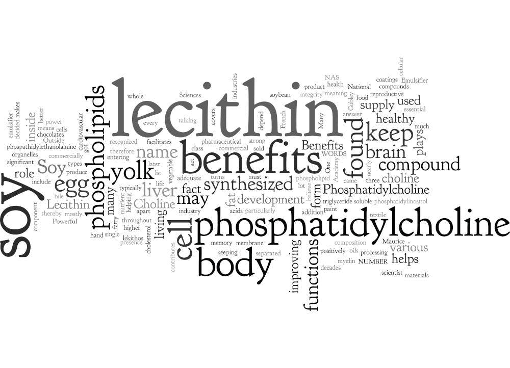 All About Lecithin: What makes lecithin a powerhouse ingredient in food, drinks, and supplements?