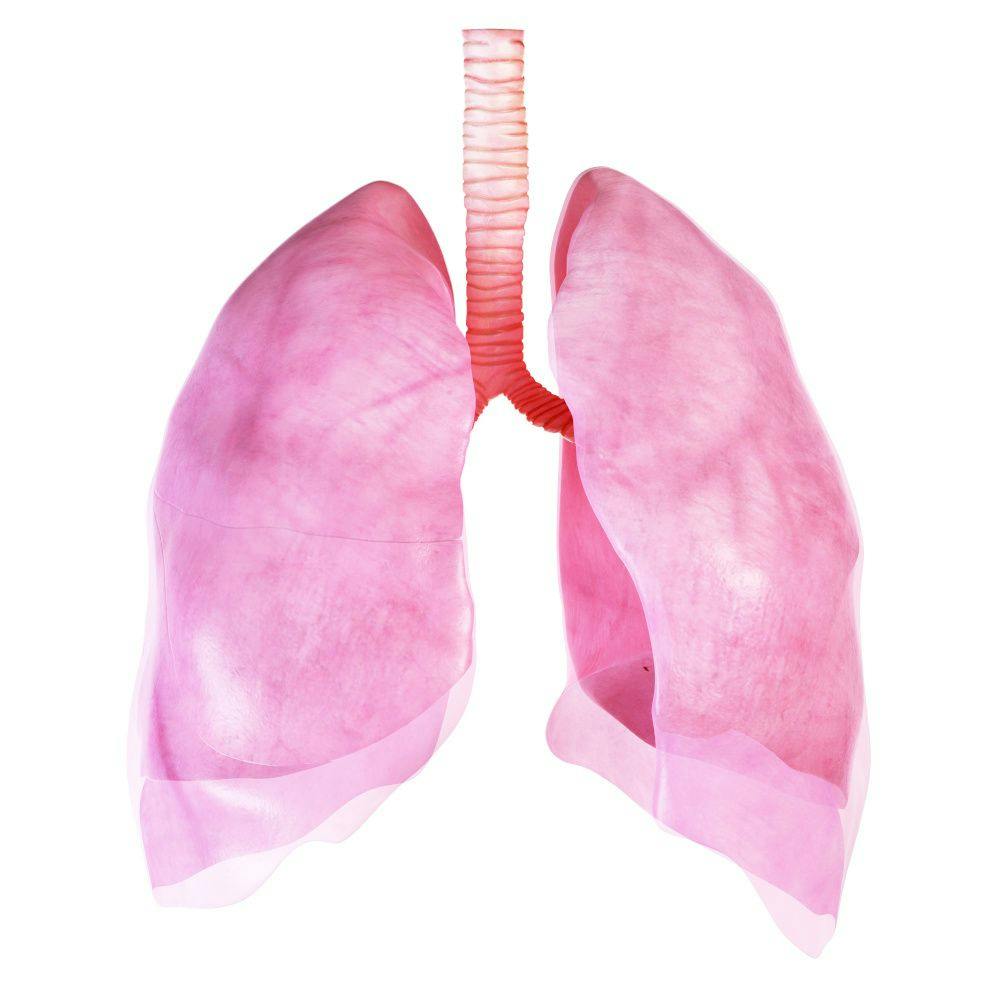 Respiratory health: Can nutritional ingredients breathe life into the respiratory category?