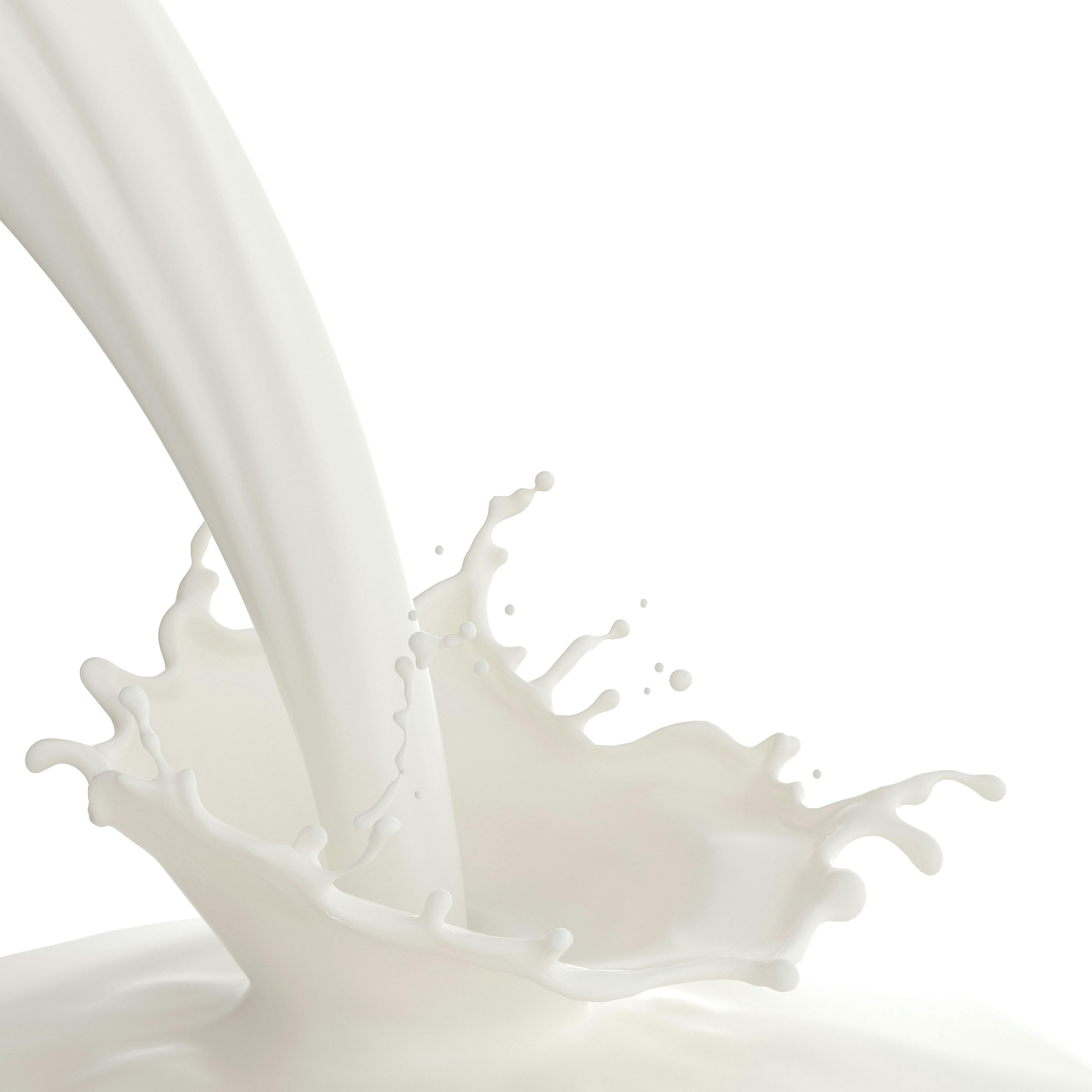 Dairy proteins still tell a good-news story