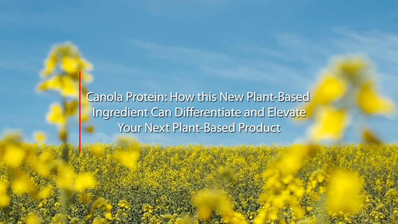 How Canola Protein Can Differentiate and Elevate Your Next Plant-based Product