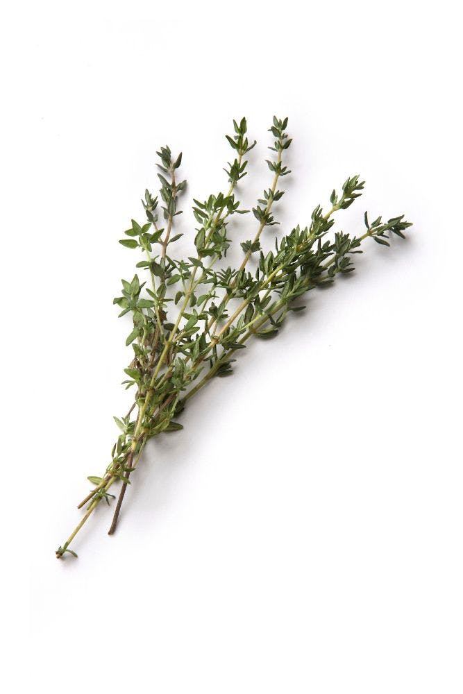 bouquet of thyme