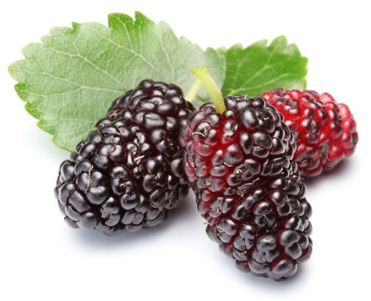 Roses are red, mulberries are…what color?