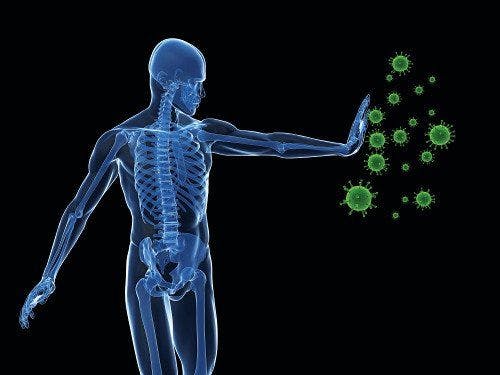 Probiotic Blend Supports Immune Health in New Study 