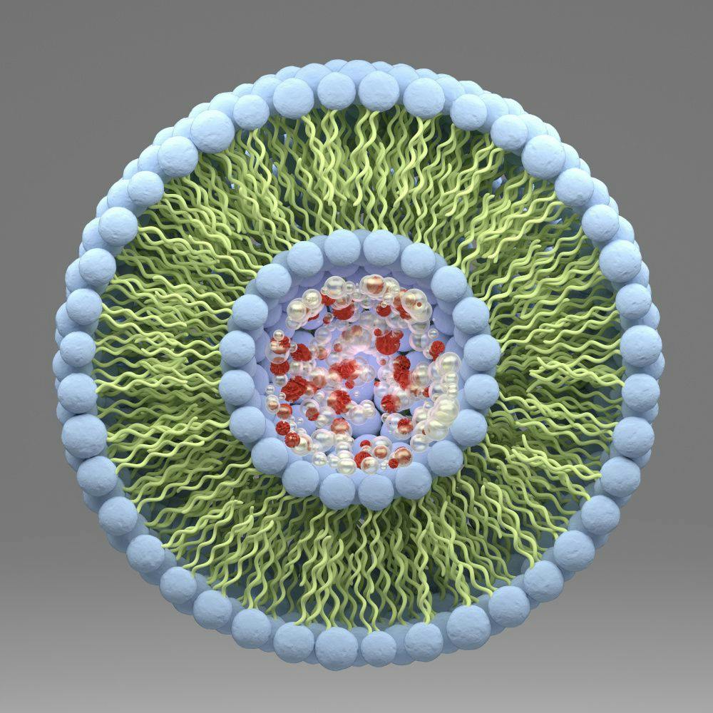 Liposomes and nutraceuticals: Crushing bioavailability barriers