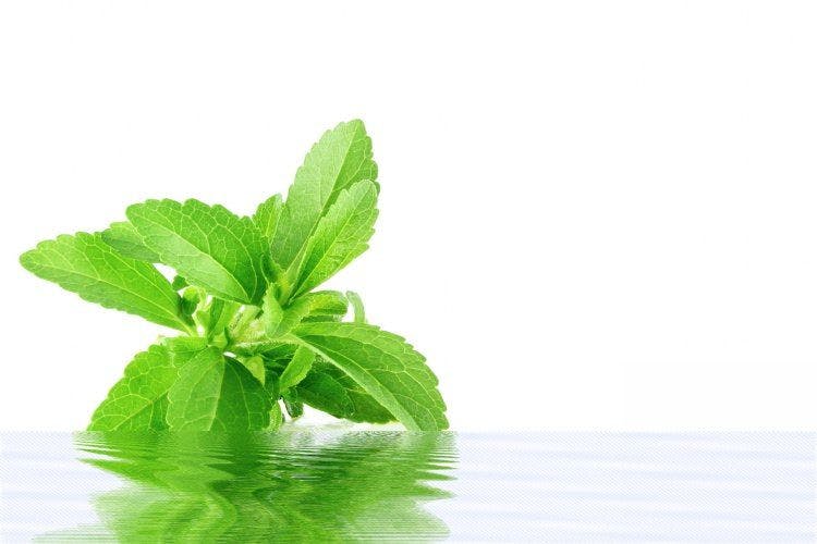 Stevia and monk fruit: Innovation in agronomy and formulation
