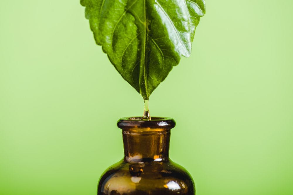Lighten the load: Botanical “bests” for less stress, from a pharmacist’s perspective