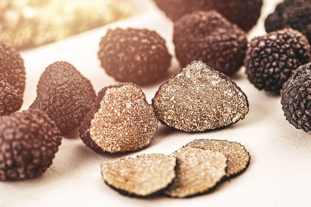 MycoTechnology discovers sweet protein in honey truffle