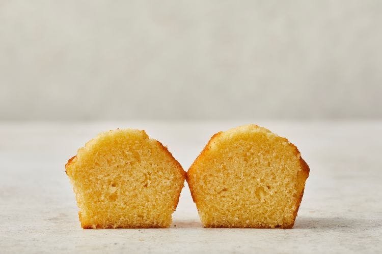muffin cross-section