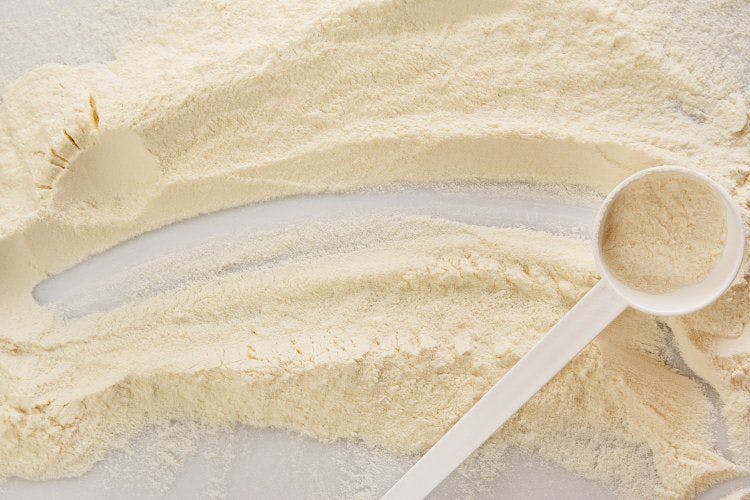 Are whey fractions the next frontier in dairy protein?