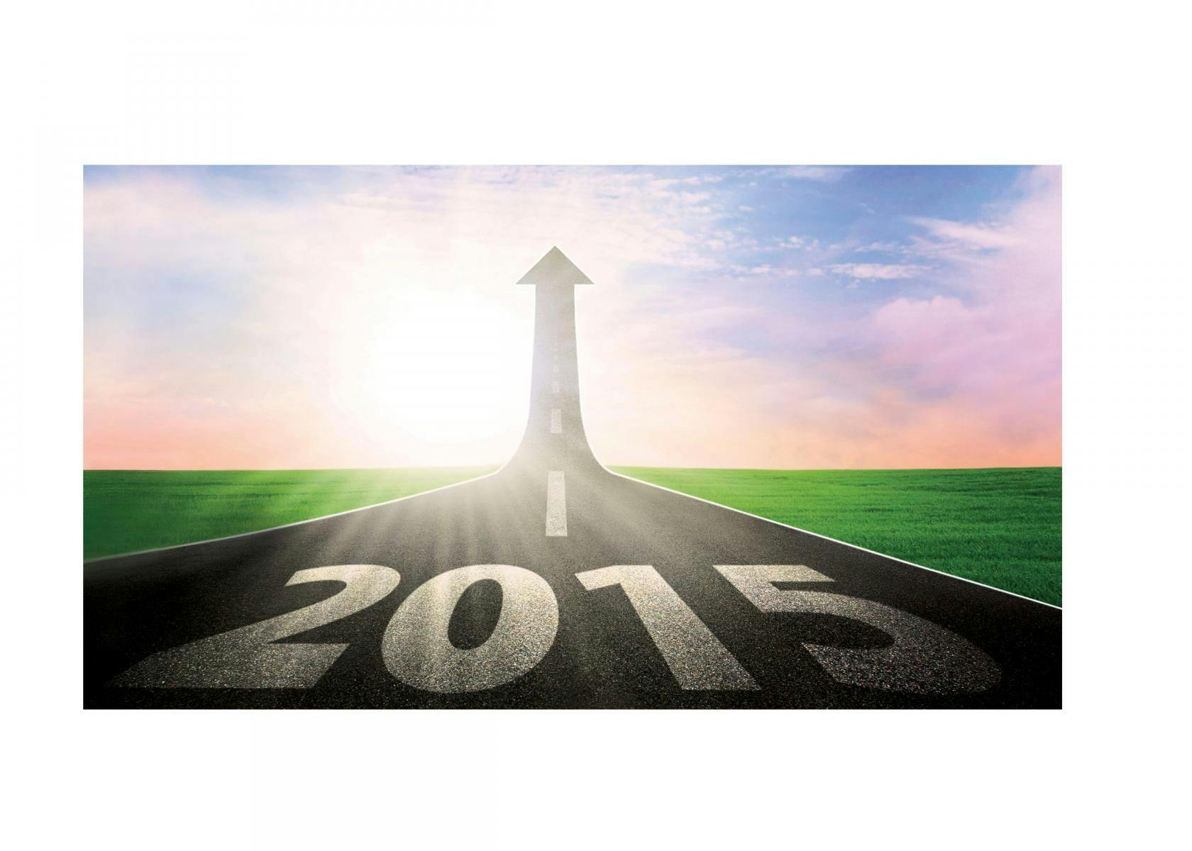 Dietary Supplement Industry Issues in 2015
