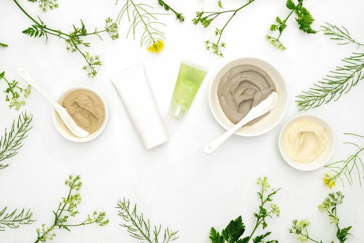 Beauty botanicals: Which botanicals make promising skincare ingredients?