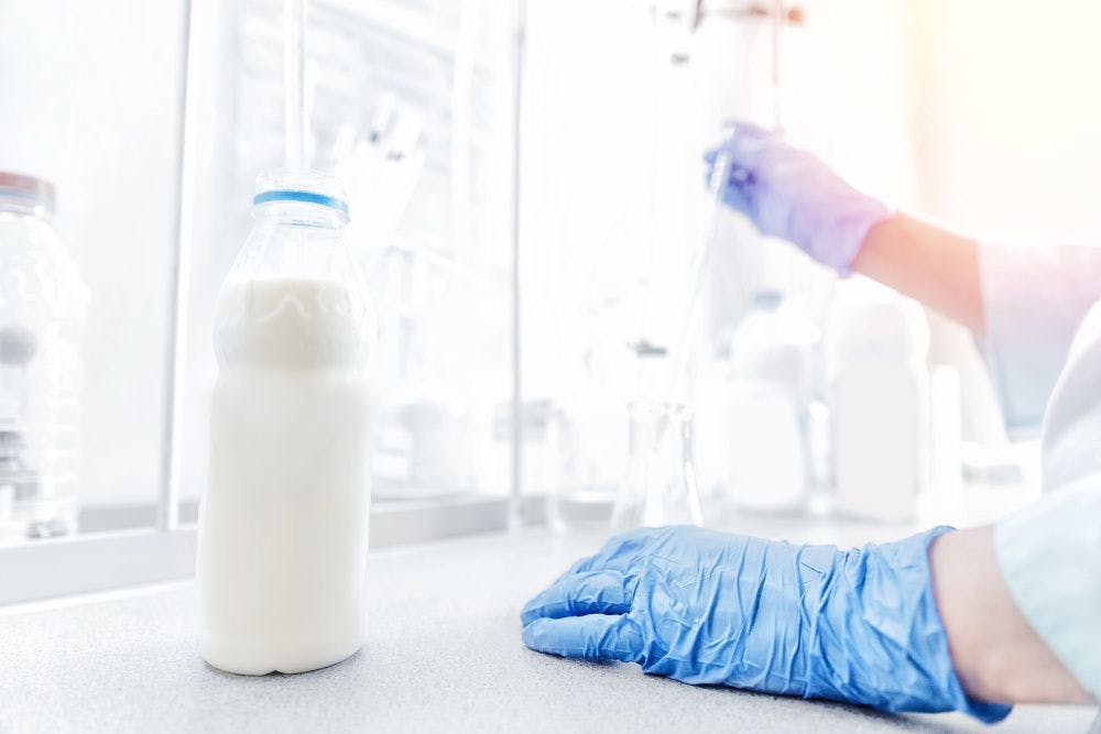 The latest science on dairy proteins