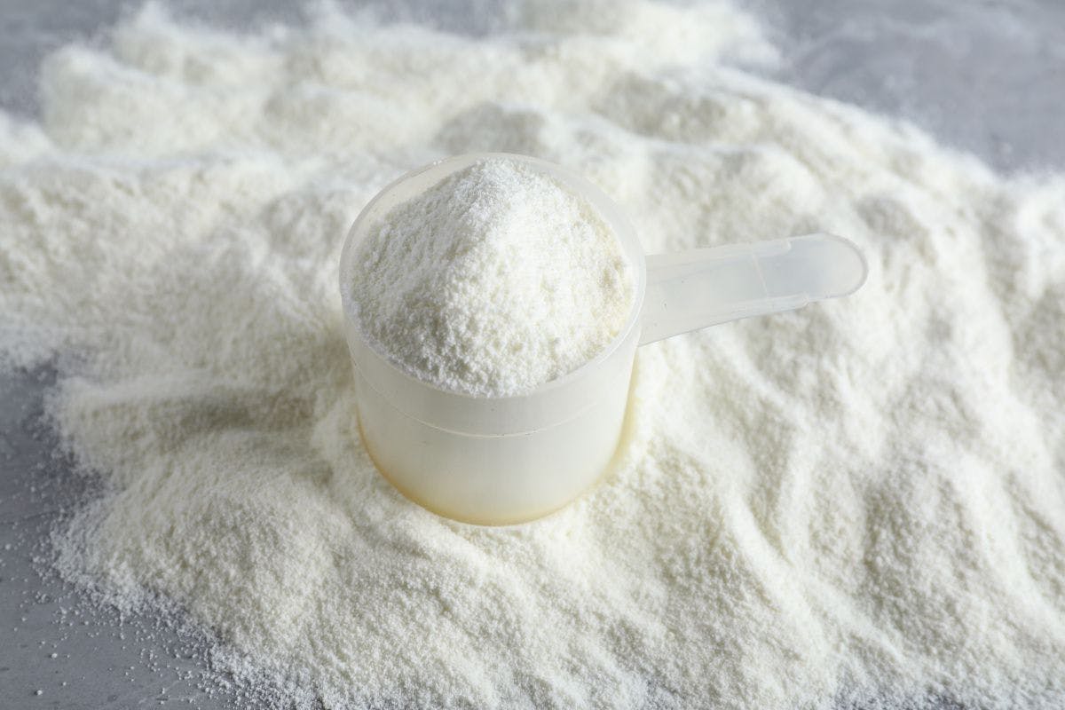 white protein powder with scoop
