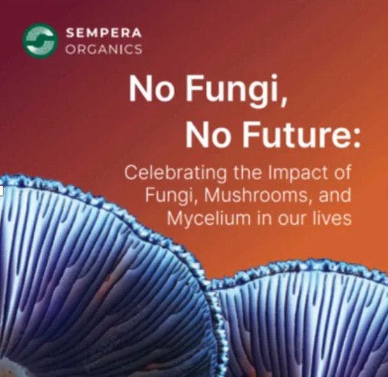 Mushroom ingredients supplier Sempera Organics launches podcast