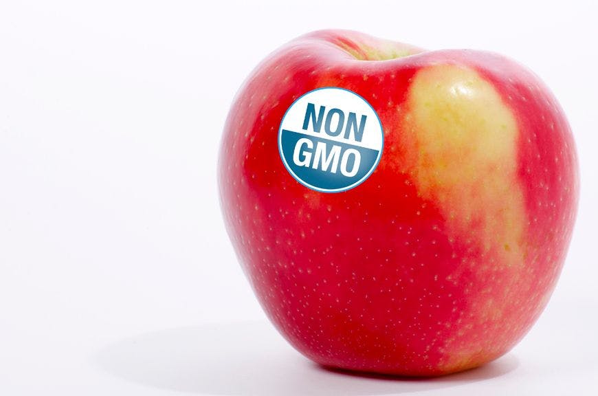 GMO Labeling in the Hot Seat