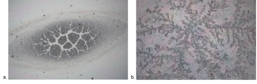 Figure 1. Light microscope view of sodium hyaluronan chains in the before (a) and after digestion (b)