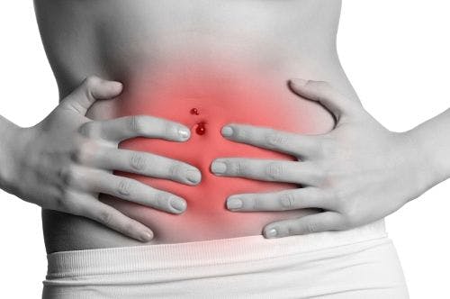 Which Antioxidant Ingredients Alleviate IBS Symptoms?