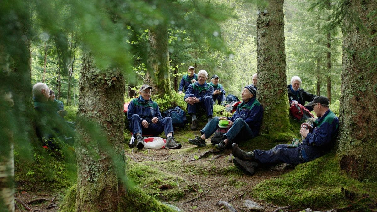 A group of elderly men resting in the forest during a hike