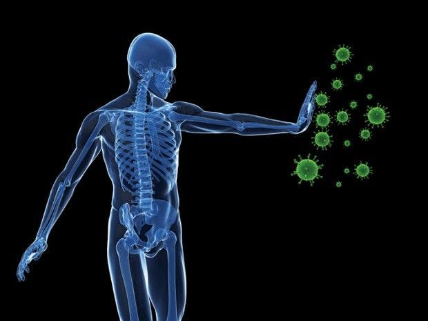 Immune-Health Supplements: Supporting Innate and Adaptive Immunity