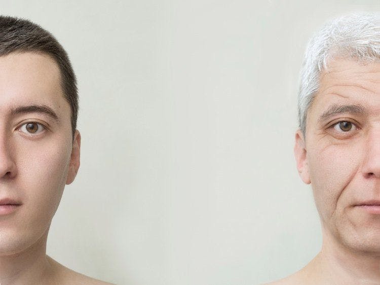 Men’s healthy aging: Herbal superstars