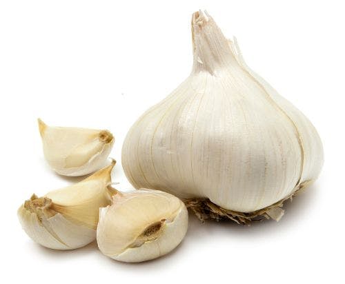 2017 Garlic Research Update