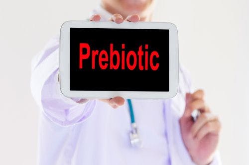  2017 Ingredient Trends to Watch for Food, Drinks, and Dietary Supplements: Prebiotics