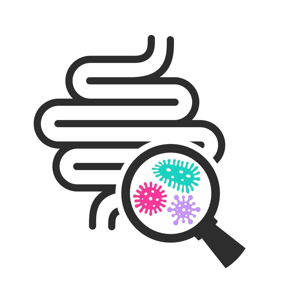 illustration of gut with magnifying glass showing gut bacteria