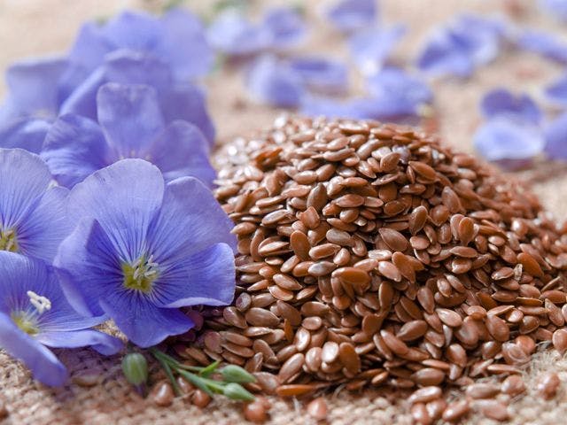 Nutritional Outlook's Best of 2014: Flax Council of Canada