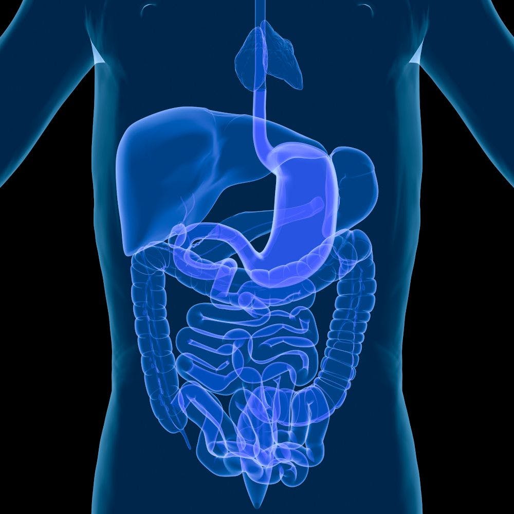 Deerland’s spore-forming DE111 probiotic germinates human GI tract in first-of-its-kind study