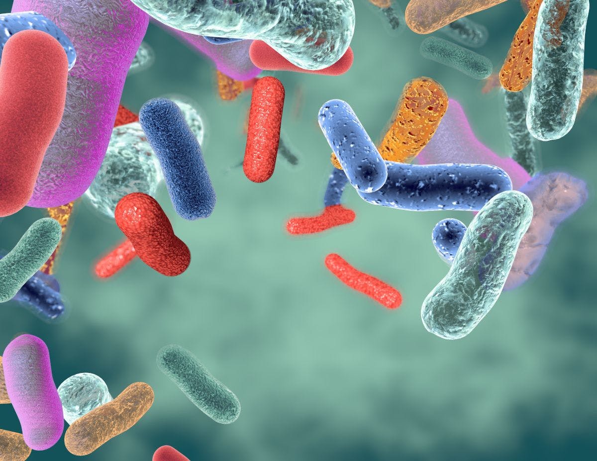 rendering of probiotic bacteria