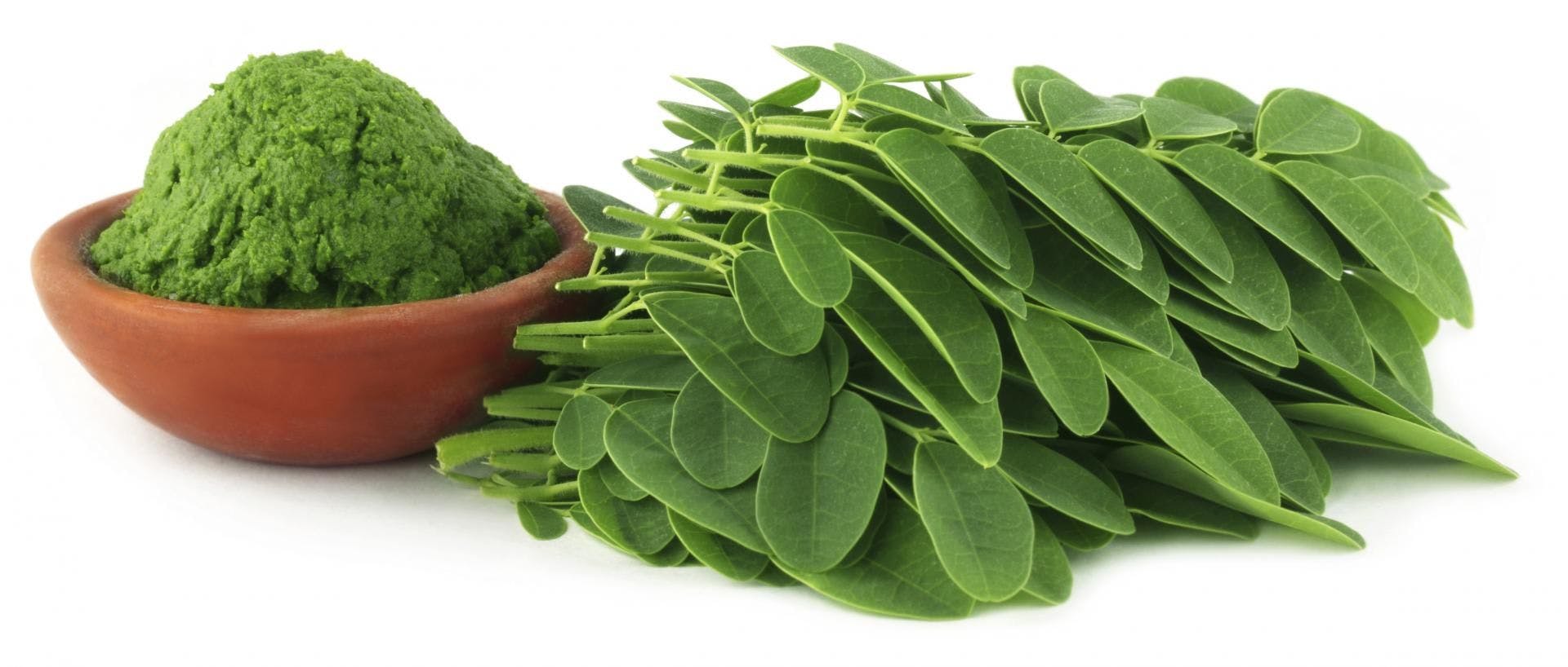 Moringa May Be an Attractive Soap Ingredient