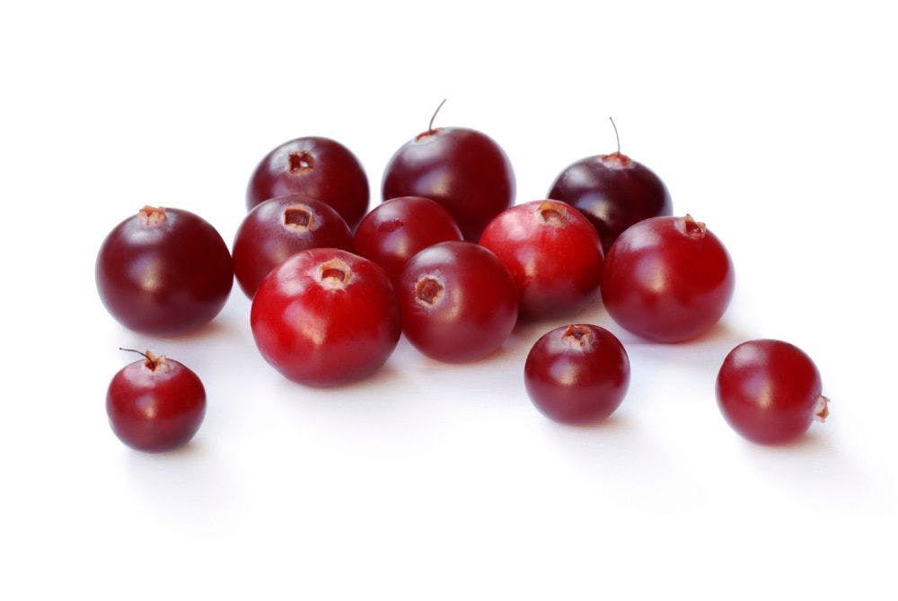 Indena introduces extra-bioavailable versions of cranberry and berberine ingredients