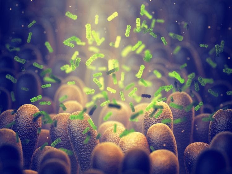 Microbiome mysteries: What don’t we know?