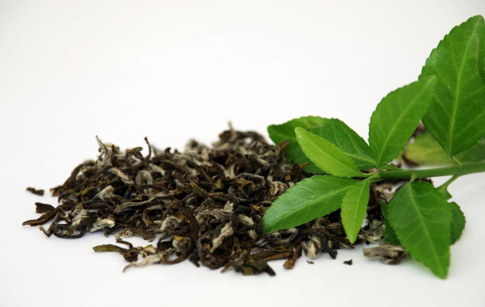 Numi Organic Tea creates carbon footprint label for its tea boxes