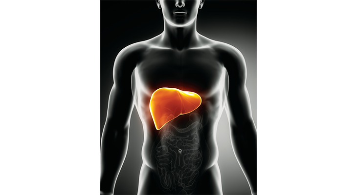Curcumin shows promise against non-alcoholic fatty liver disease in animal study
