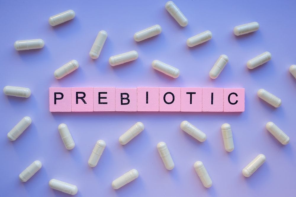 Prebiotic ingredient outlook for 2021